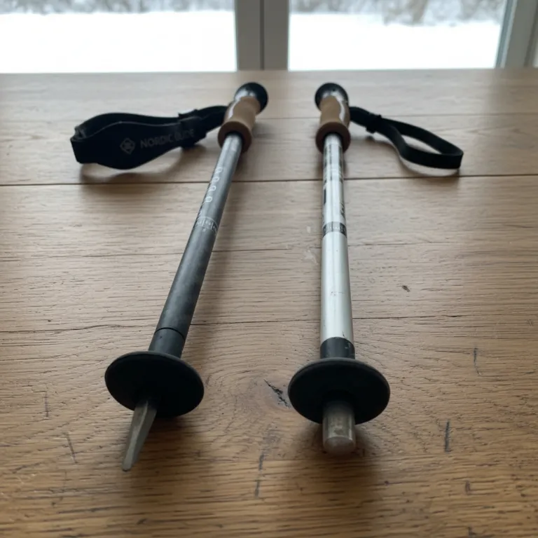 How to Choose Nordic Walking Poles